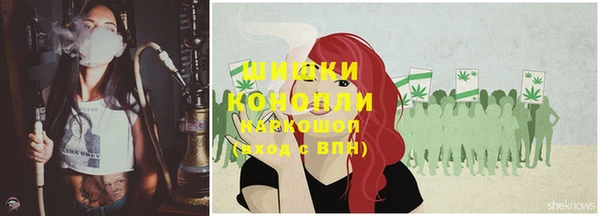 шишки Михайлов