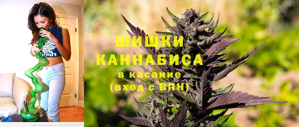 прущие крисы Белая Холуница