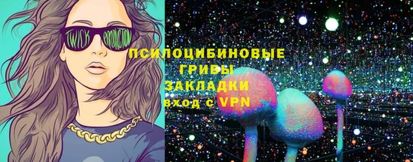 прущие крисы Белая Холуница