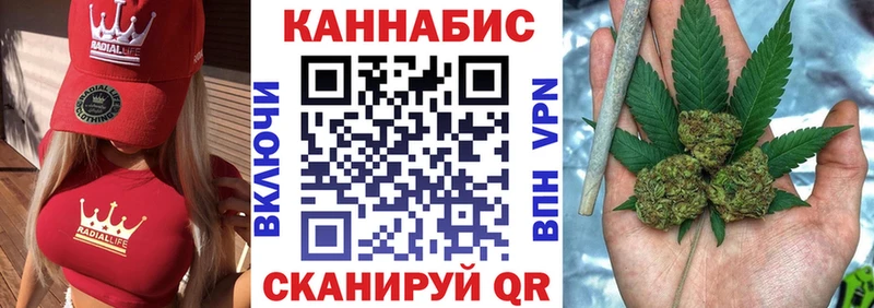где найти наркотики  Куртамыш  Каннабис конопля 